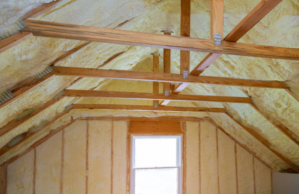 Best Best Insulation Companies  in Notre Dame, IN