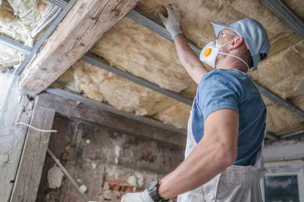 Best Crawl Space Insulation  in Notre Dame, IN