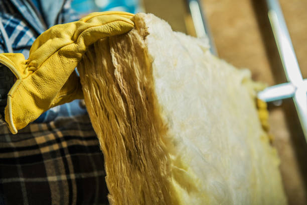 Best Insulation Inspection Services  in Notre Dame, IN